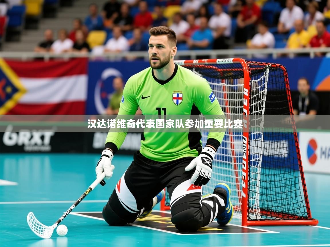 2025九游娱乐官方网页版汉达诺维奇代表国家队参加重要比赛