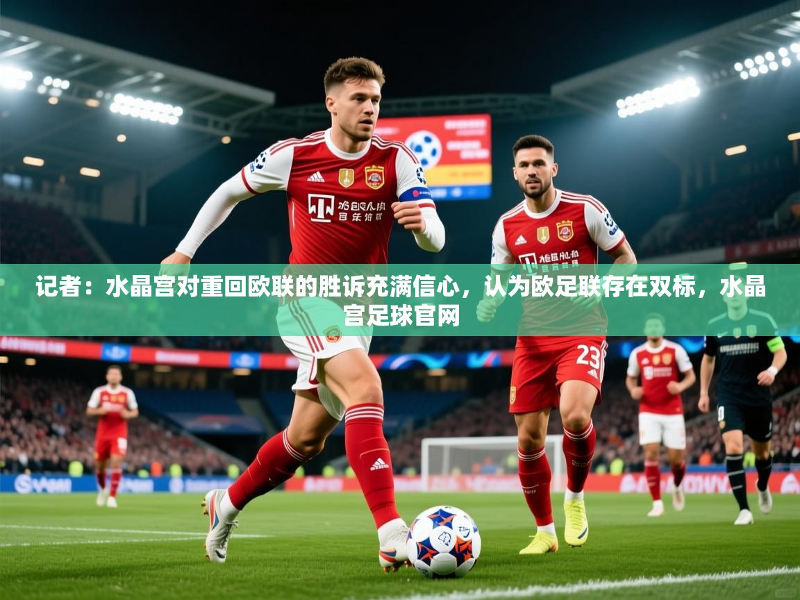 2025九游娱乐官网入口网页版官方记者：水晶宫对重回欧联的胜诉充满信心，认为欧足联存在双标，水晶宫足球官网  第1张