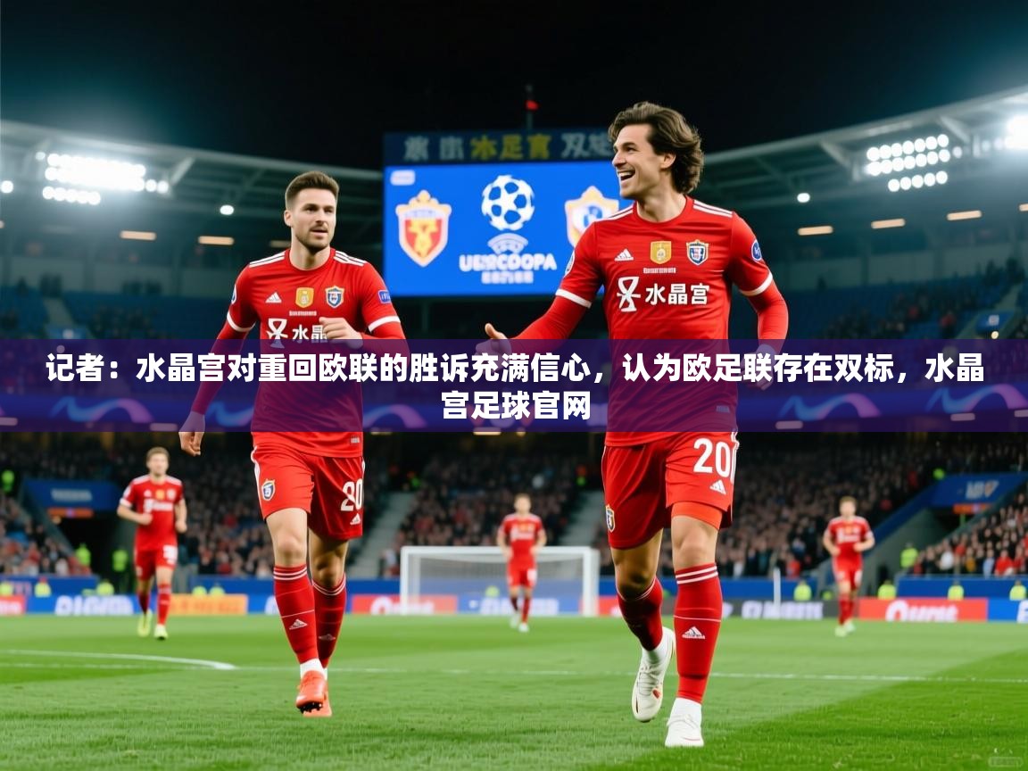 2025九游娱乐官网入口网页版官方记者：水晶宫对重回欧联的胜诉充满信心，认为欧足联存在双标，水晶宫足球官网  第4张
