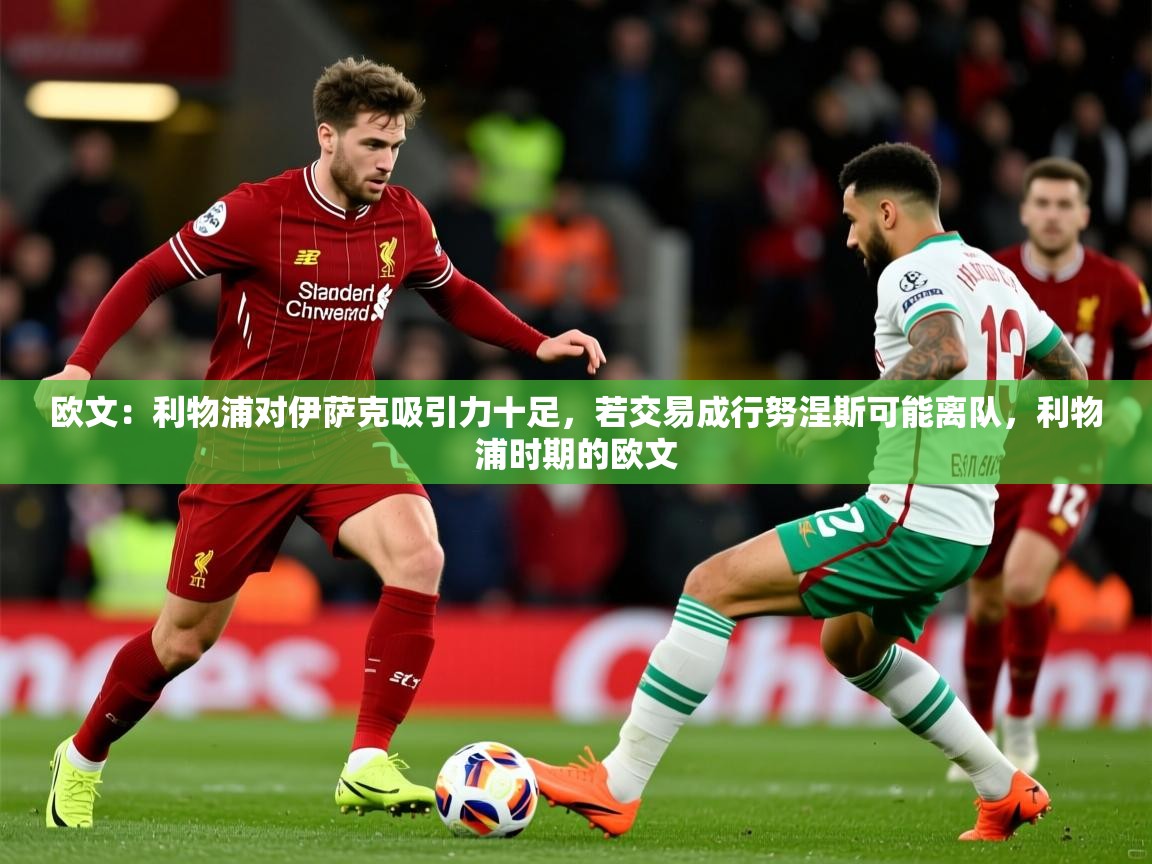 2025九游娱乐体育欧文：利物浦对伊萨克吸引力十足，若交易成行努涅斯可能离队，利物浦时期的欧文  第3张