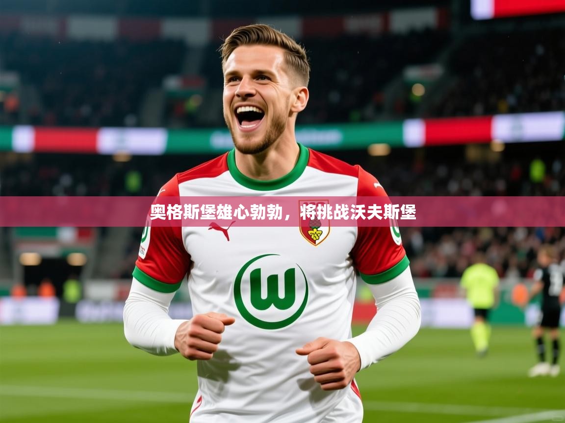 2026九游娱乐奥格斯堡雄心勃勃，将挑战沃夫斯堡  第2张