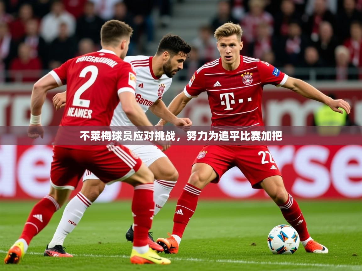 2026九游app下载苹果版不莱梅球员应对挑战,努力为追平比赛加把 第3张