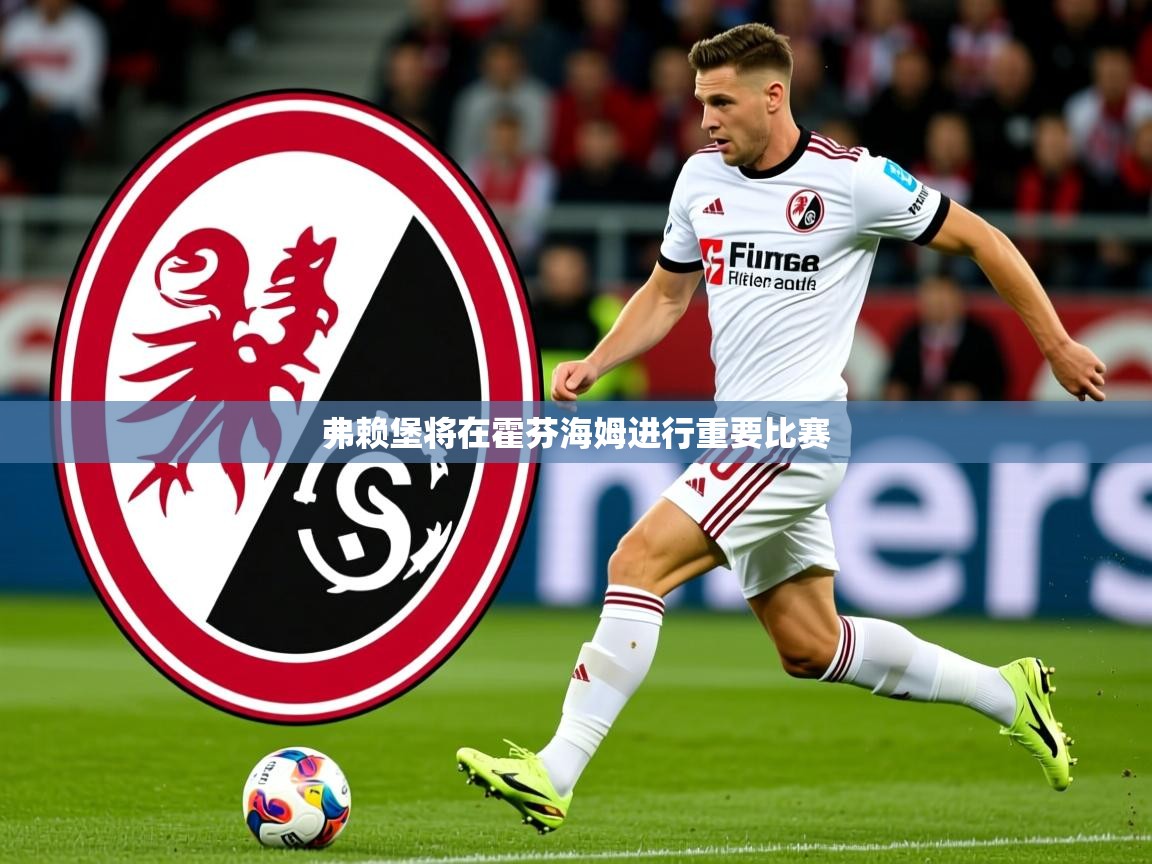 2026九游娱乐app弗赖堡将在霍芬海姆进行重要比赛  第1张