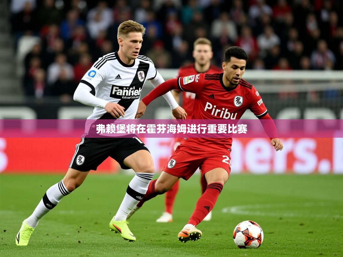 2026九游娱乐app弗赖堡将在霍芬海姆进行重要比赛  第2张
