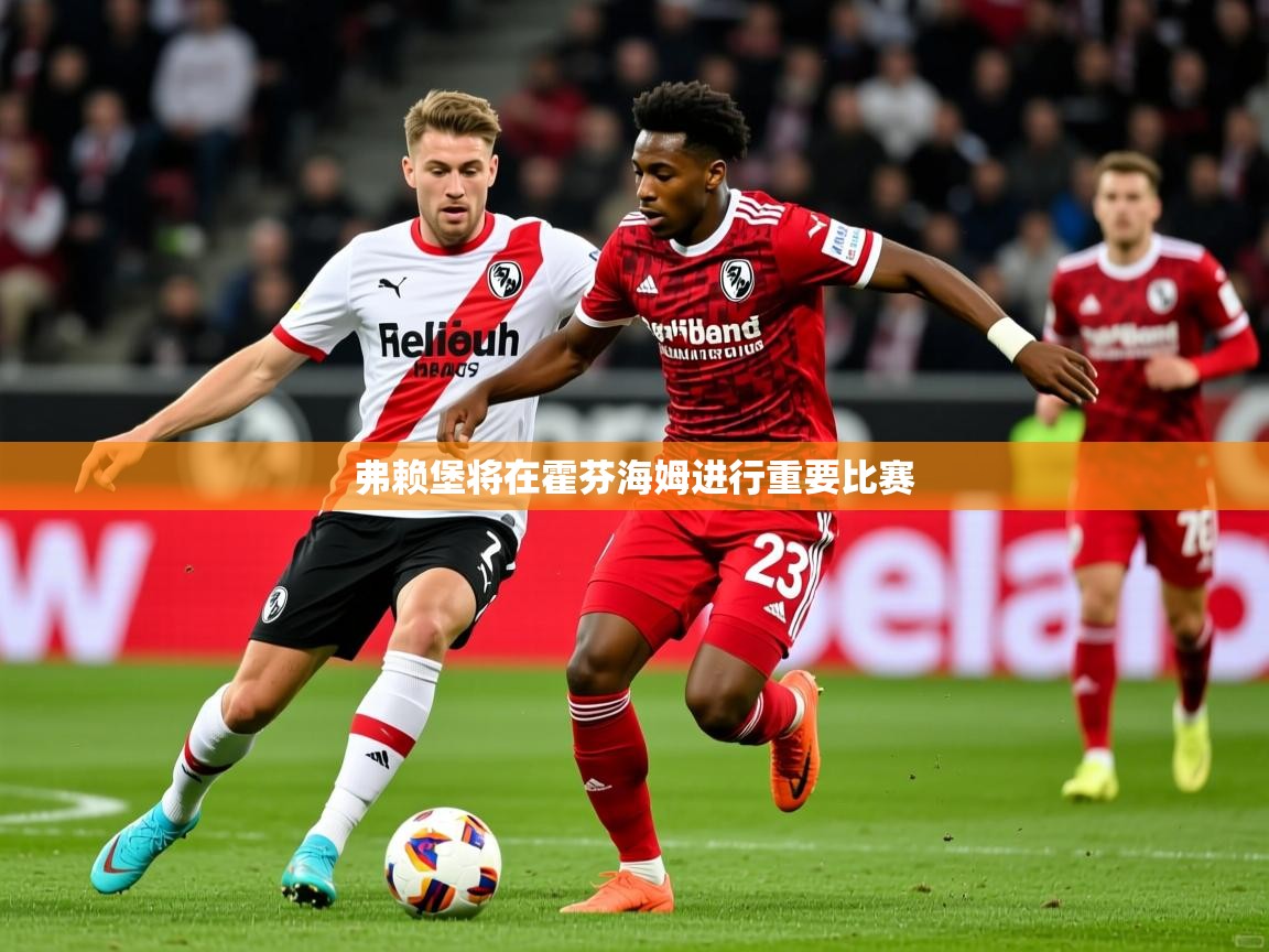 2026九游娱乐app弗赖堡将在霍芬海姆进行重要比赛  第3张