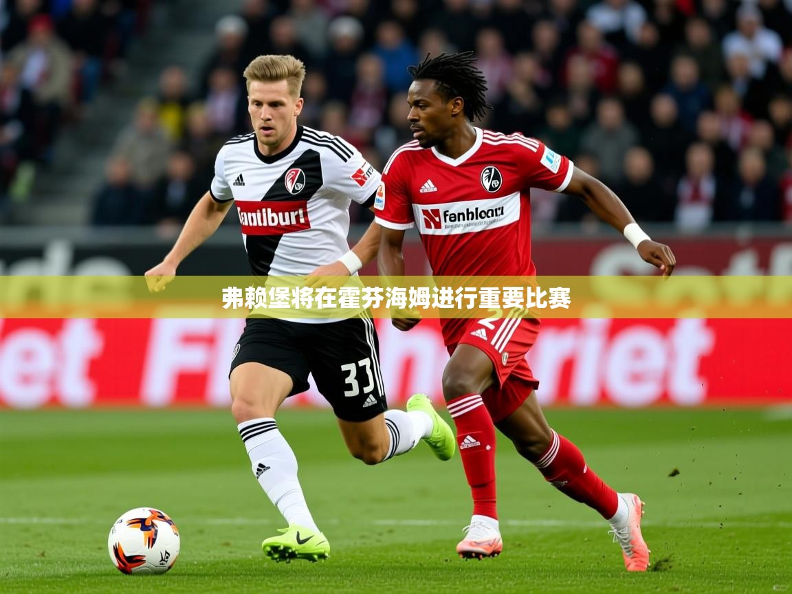 2026九游娱乐app弗赖堡将在霍芬海姆进行重要比赛  第4张
